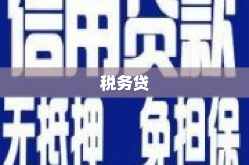 托克逊税务贷