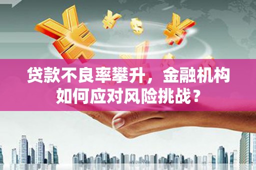 托克逊贷款不良率攀升，金融机构如何应对风险挑战？