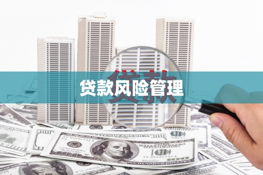 托克逊贷款风险管理