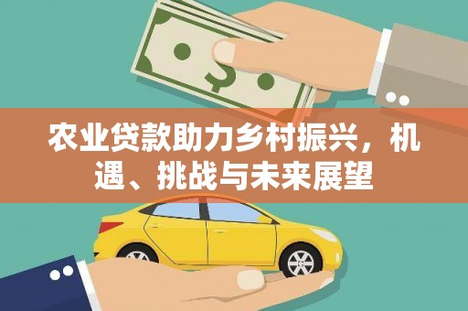 托克逊农业贷款助力乡村振兴，机遇、挑战与未来展望