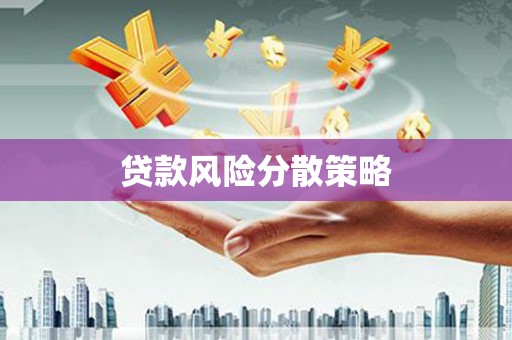 托克逊贷款风险分散策略