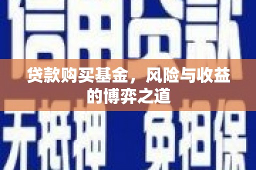 托克逊贷款购买基金，风险与收益的博弈之道