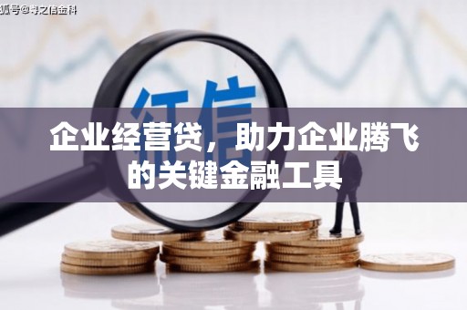 托克逊企业经营贷，助力企业腾飞的关键金融工具