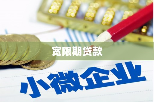 托克逊宽限期贷款