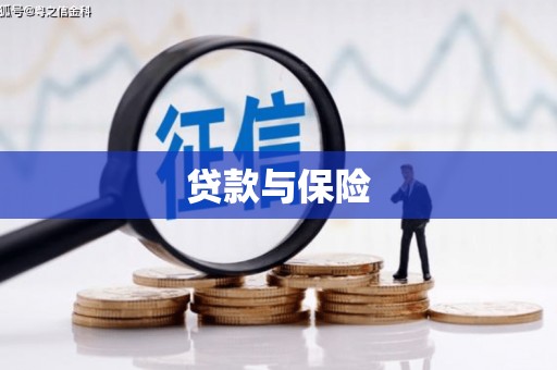 托克逊贷款与保险