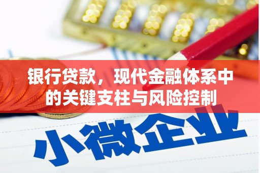 托克逊银行贷款，现代金融体系中的关键支柱与风险控制