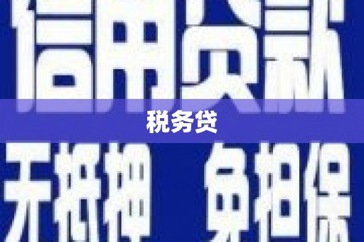 托克逊税务贷