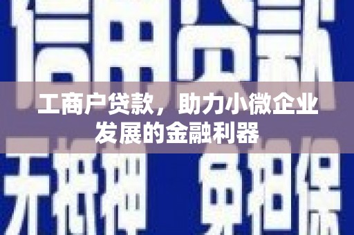 托克逊工商户贷款，助力小微企业发展的金融利器