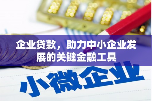 托克逊企业贷款，助力中小企业发展的关键金融工具