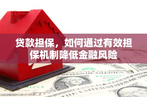 托克逊贷款担保，如何通过有效担保机制降低金融风险
