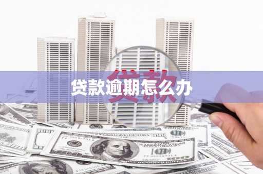 托克逊贷款逾期怎么办