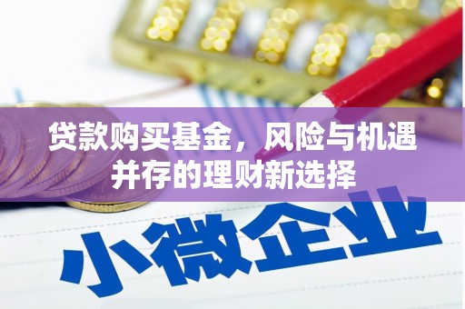 托克逊贷款购买基金，风险与机遇并存的理财新选择