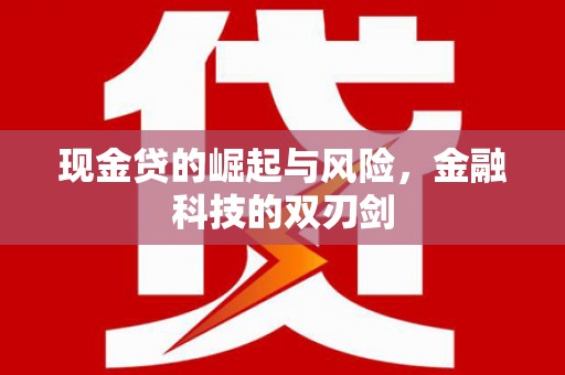 托克逊现金贷的崛起与风险，金融科技的双刃剑