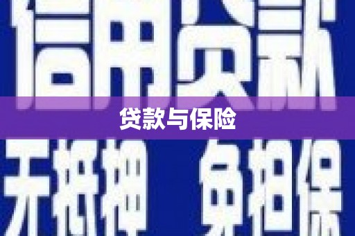 托克逊贷款与保险