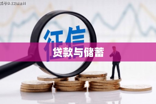 托克逊贷款与储蓄