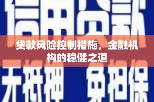 托克逊贷款风险控制措施，金融机构的稳健之道