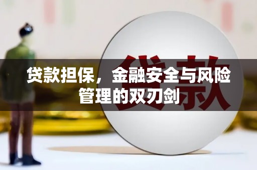 托克逊贷款担保，金融安全与风险管理的双刃剑