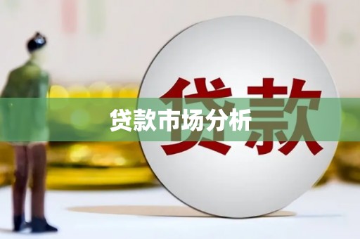 托克逊贷款市场分析