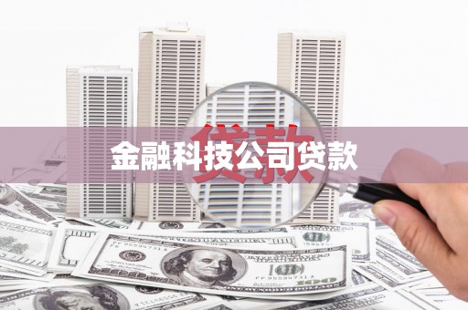 托克逊金融科技公司贷款