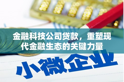 托克逊金融科技公司贷款，重塑现代金融生态的关键力量