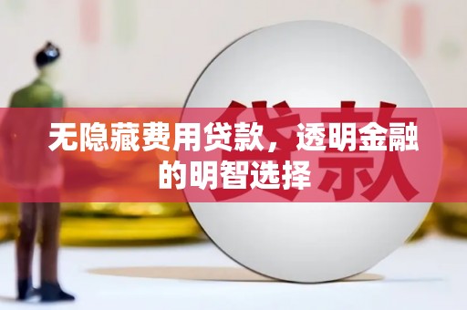 托克逊无隐藏费用贷款，透明金融的明智选择