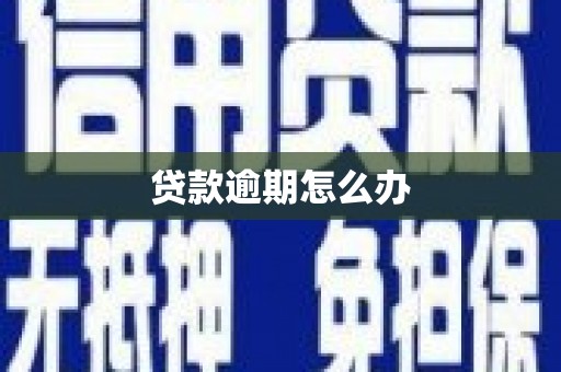 托克逊贷款逾期怎么办