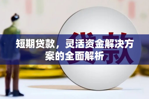 托克逊短期贷款，灵活资金解决方案的全面解析