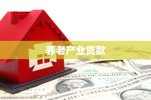 托克逊养老产业贷款