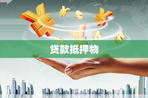 托克逊贷款抵押物