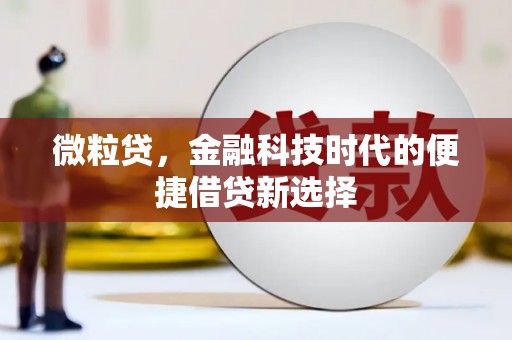 托克逊微粒贷，金融科技时代的便捷借贷新选择