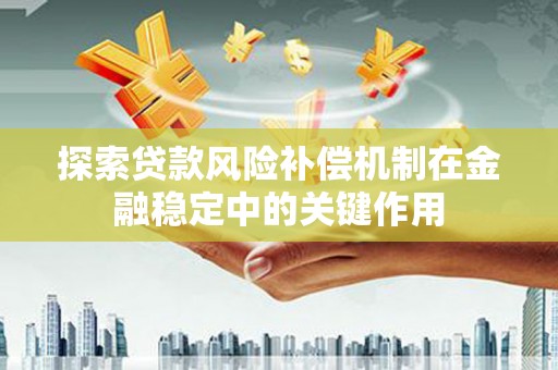 托克逊探索贷款风险补偿机制在金融稳定中的关键作用