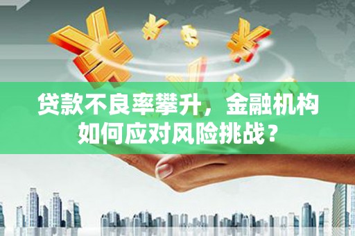 托克逊贷款不良率攀升，金融机构如何应对风险挑战？