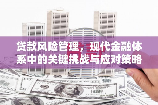 托克逊贷款风险管理，现代金融体系中的关键挑战与应对策略