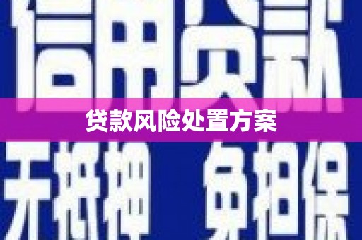 托克逊贷款风险处置方案